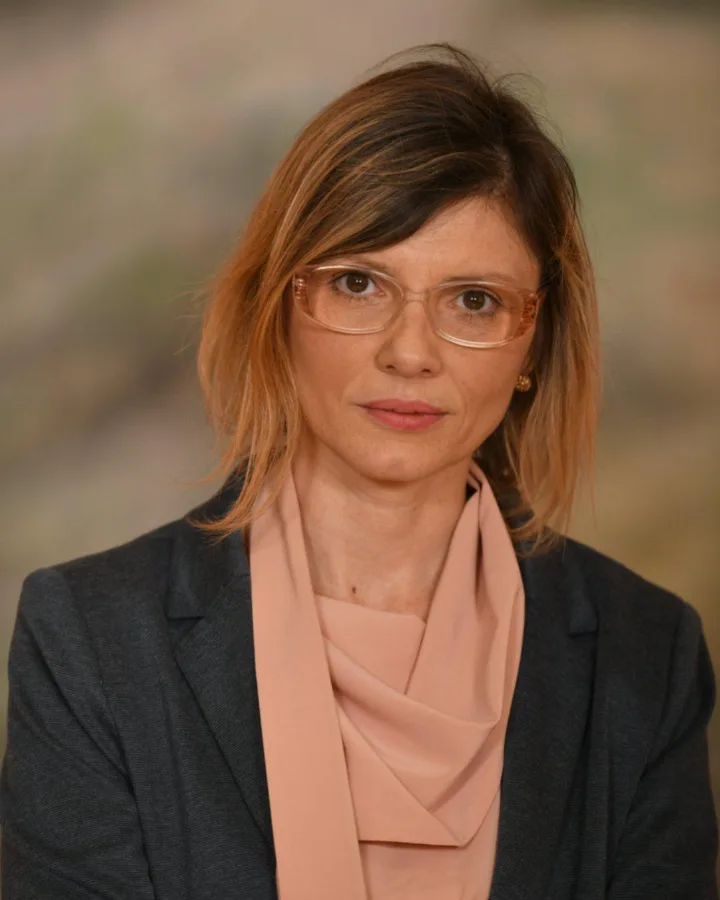 Dijana Kopunović, Predavač teorijske nastave